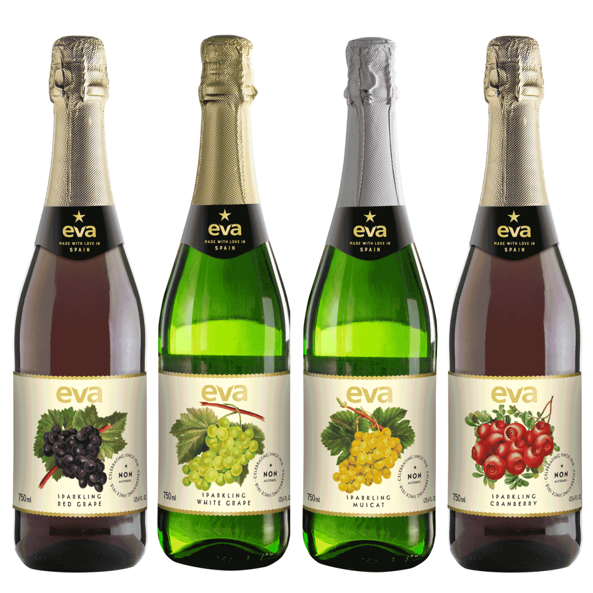 EVA White Grape Non Alcohol Sparkling Juice - Wines N Drinks