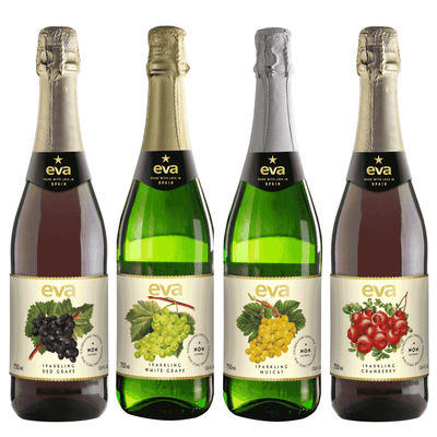 EVA White Grape Non Alcohol Sparkling Juice - Wines N Drinks