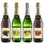 EVA Red Grape Non Alcohol Sparkling Juice - Wines N Drinks