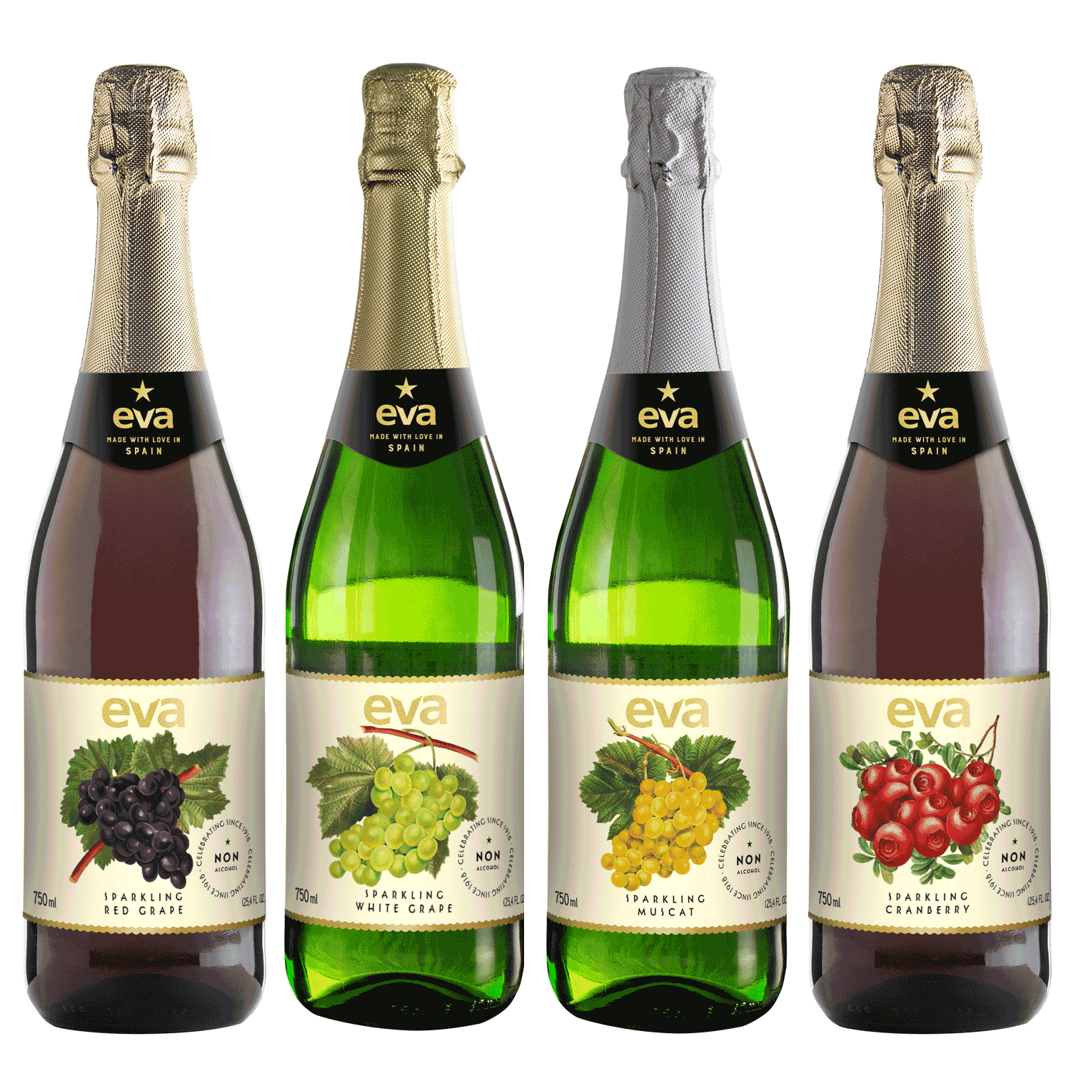 EVA Red Grape Non Alcohol Sparkling Juice - Wines N Drinks