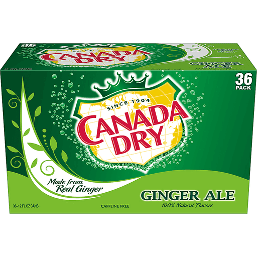 Canada Dry Ginger Ale 355ml - Wines N Drinks