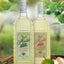 Manille Calamansi | Dalandan 700ml - Wines N Drinks